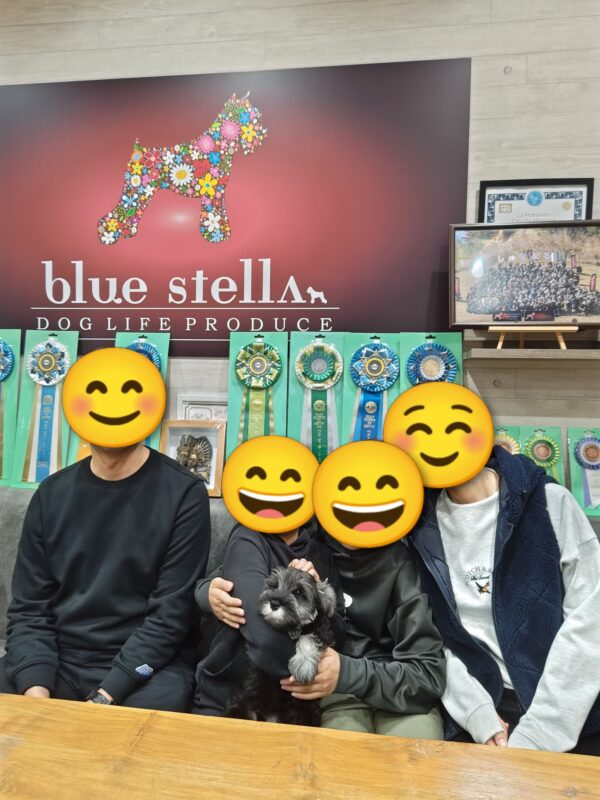 巣立って行ったステラっ子サムネイル