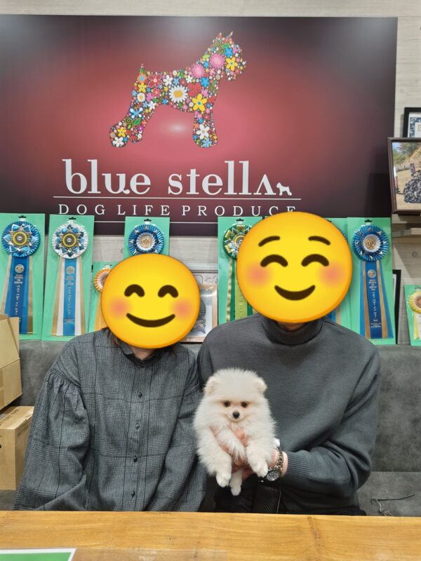 巣立って行ったステラっ子サムネイル