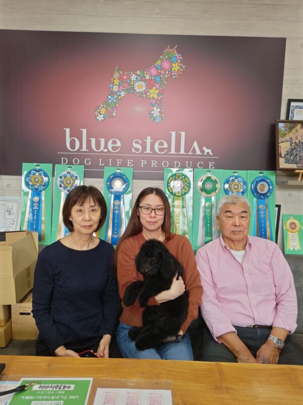 巣立って行ったステラっ子サムネイル