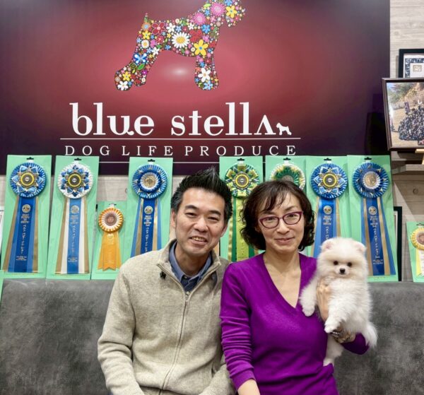 巣立って行ったステラっ子サムネイル