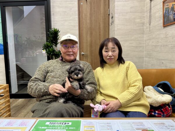 巣立って行ったステラっ子サムネイル