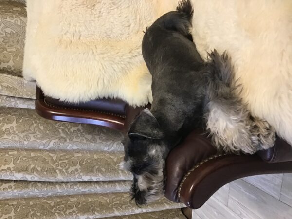 お客様からサムネイル