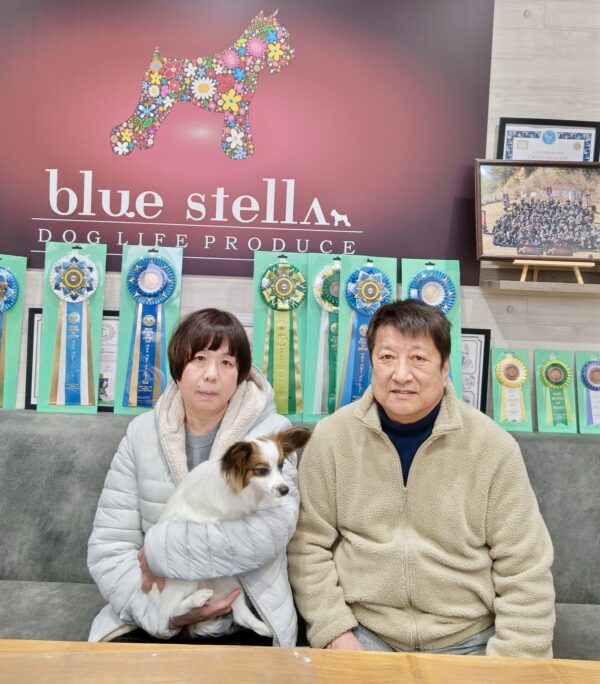 巣立って行ったステラっ子サムネイル