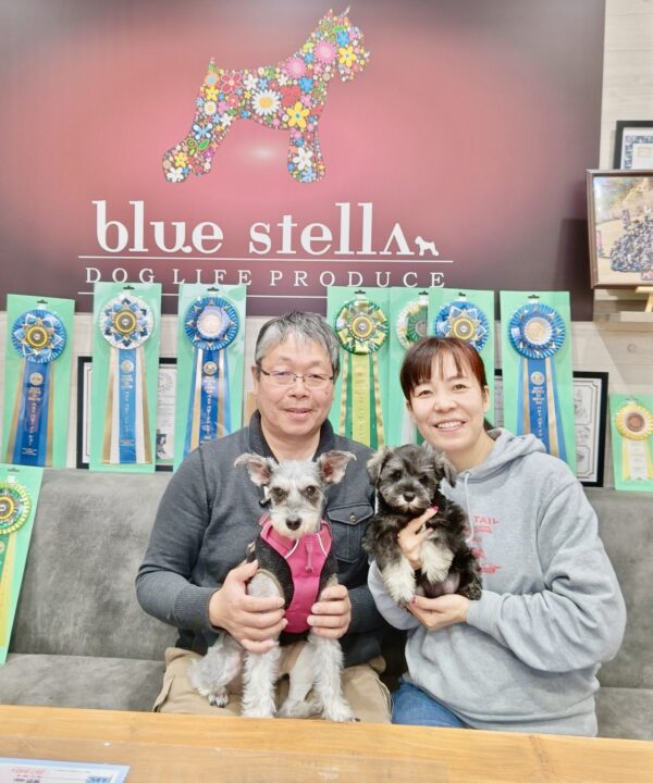 巣立って行ったステラっ子サムネイル