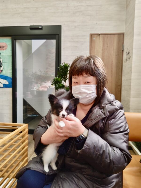 巣立って行ったステラっ子サムネイル