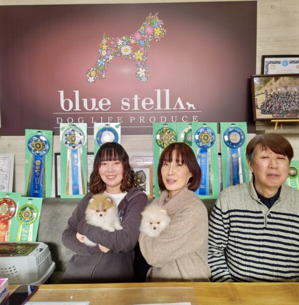 巣立って行ったステラっ子サムネイル