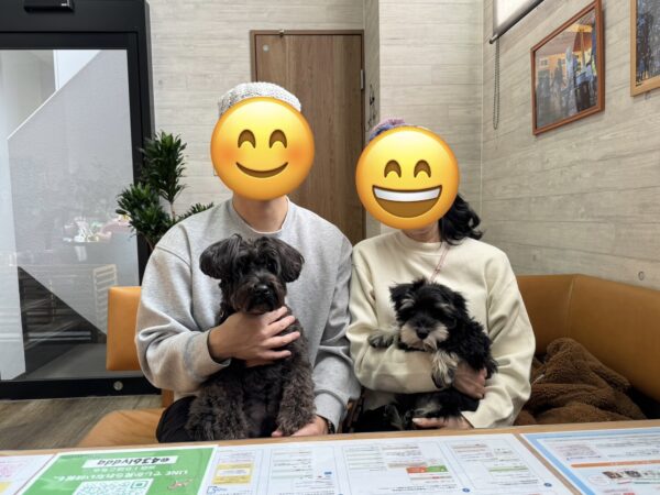 巣立って行ったステラっ子サムネイル