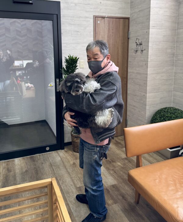 巣立って行ったステラっ子サムネイル