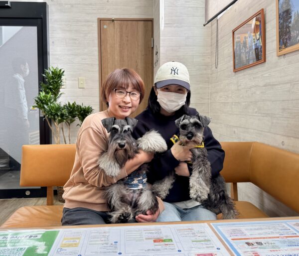 巣立って行ったステラっ子サムネイル