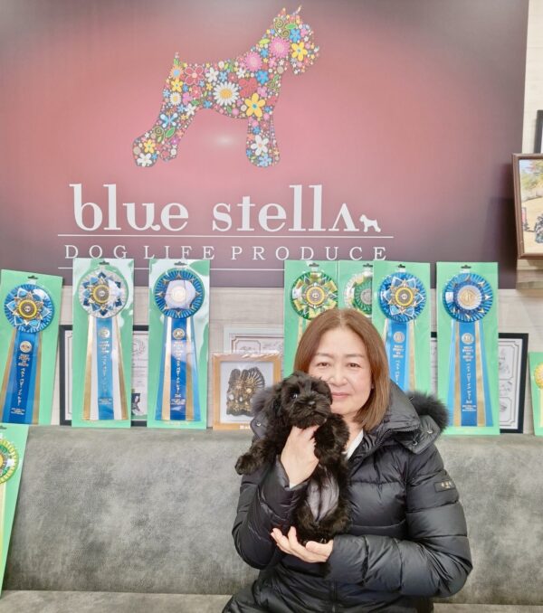 巣立って行ったステラっ子サムネイル