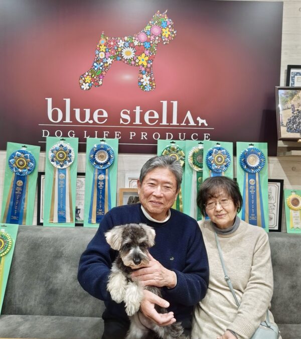 巣立って行ったステラっ子サムネイル