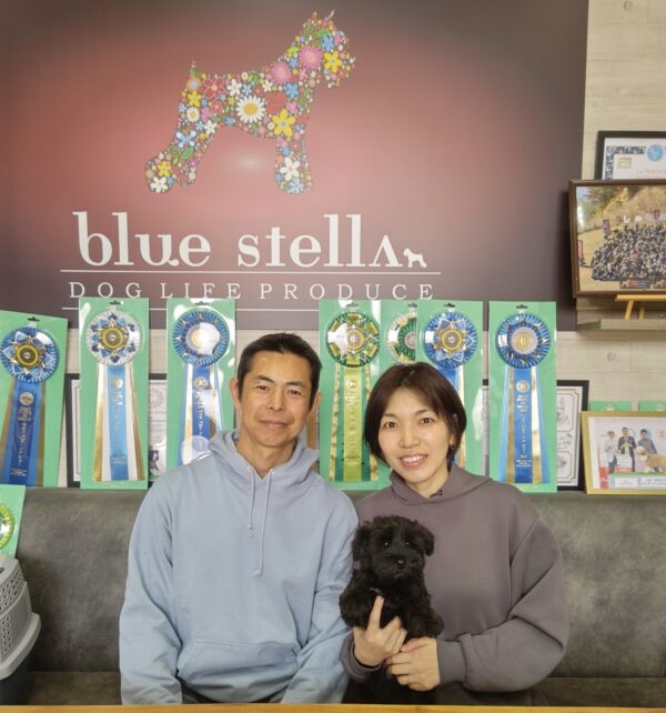 巣立って行ったステラっ子サムネイル