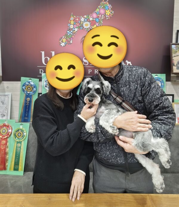 巣立って行ったステラっ子サムネイル