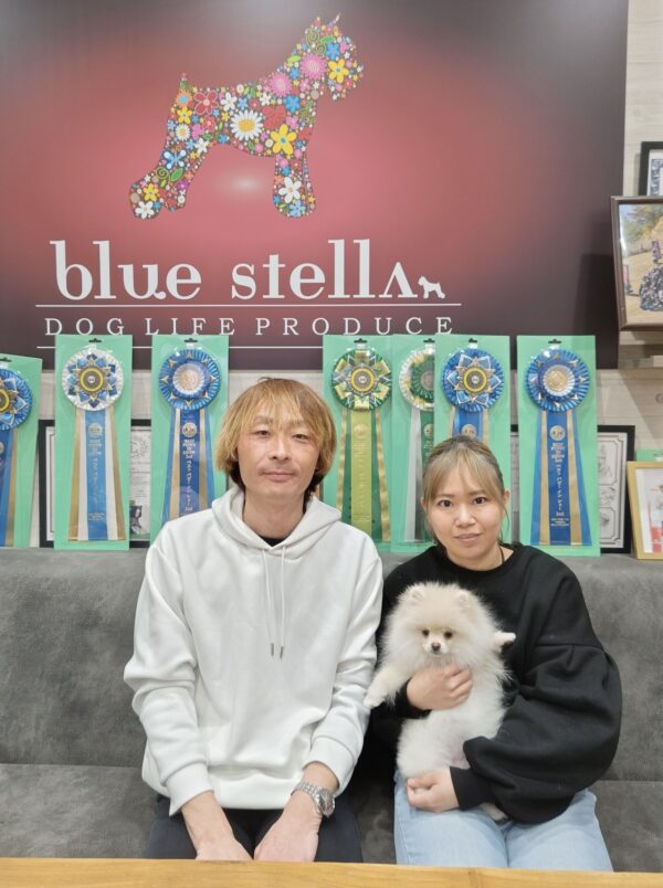 巣立って行ったステラっ子サムネイル