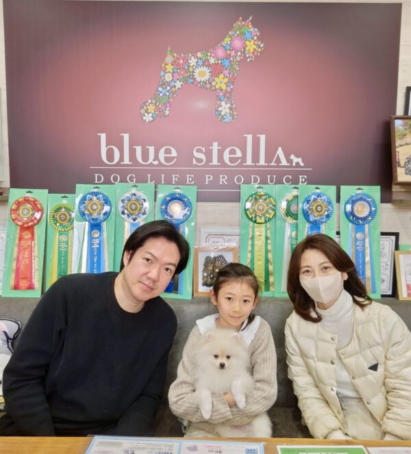 巣立って行ったステラっ子サムネイル