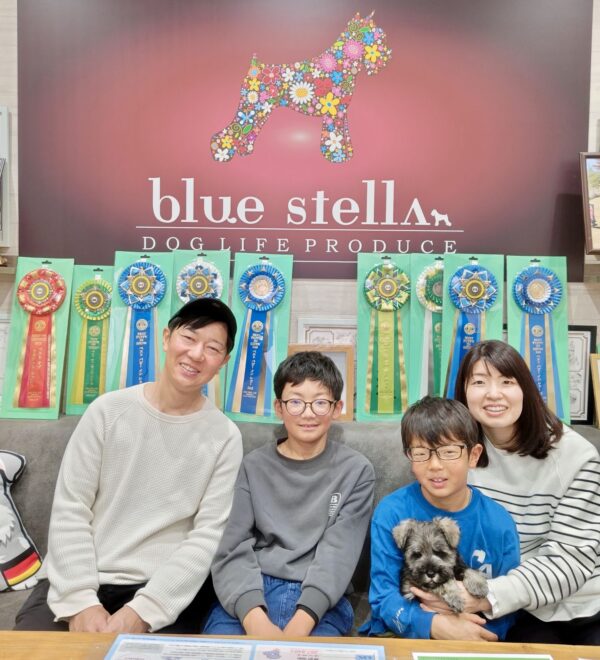 巣立って行ったステラっ子サムネイル