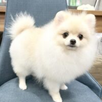 ２