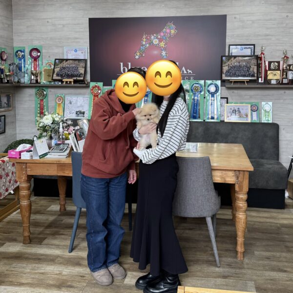 巣立って行ったステラっ子サムネイル