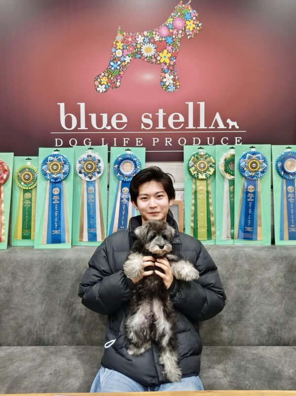 巣立って行ったステラっ子サムネイル