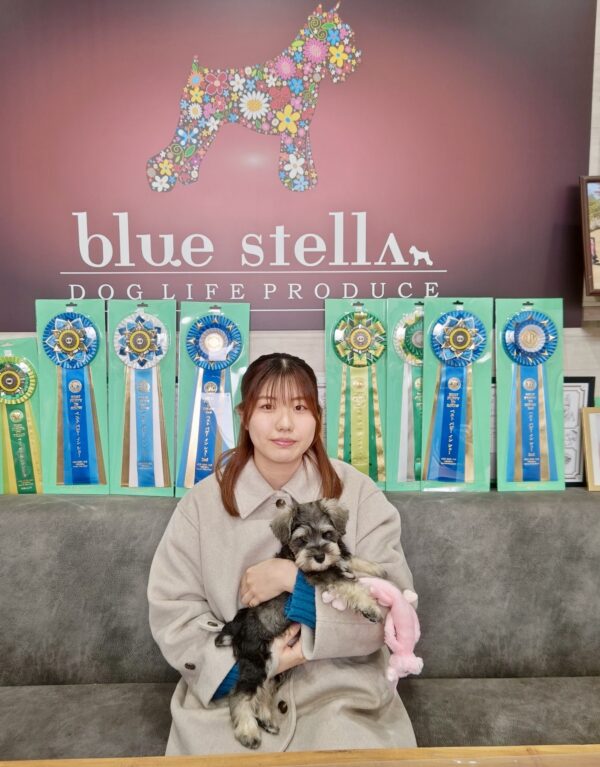 巣立って行ったステラっ子サムネイル