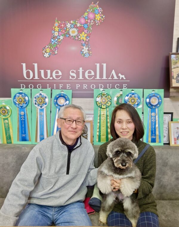 巣立って行ったステラっ子サムネイル