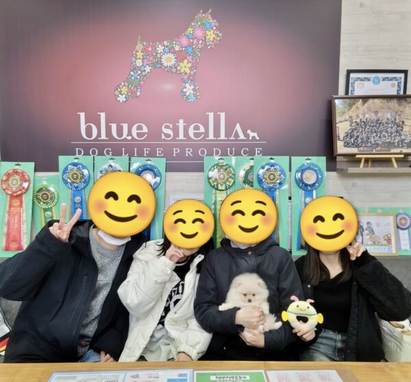 巣立って行ったステラっ子サムネイル