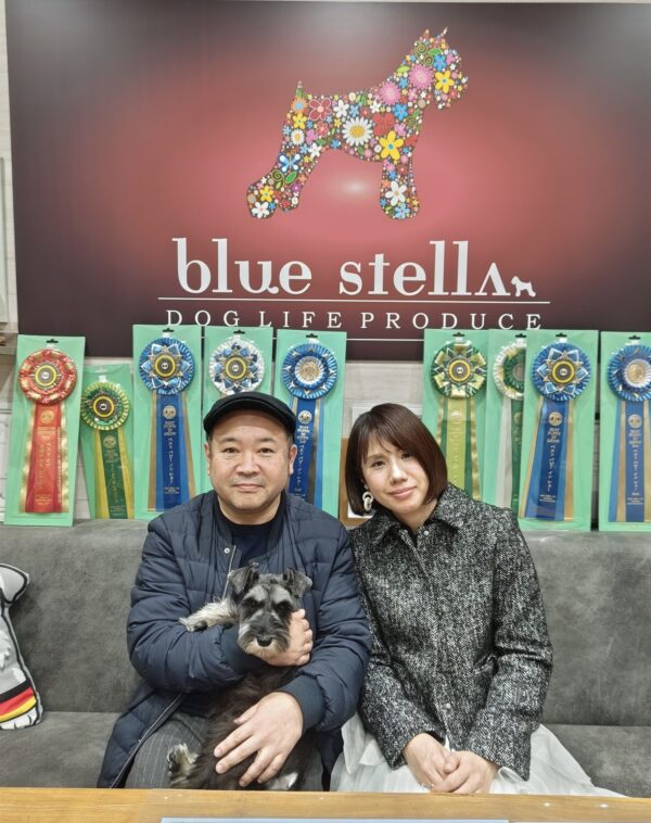 巣立って行ったステラっ子サムネイル