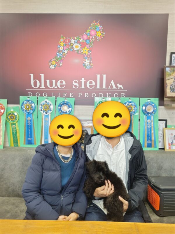 巣立って行ったステラっ子サムネイル