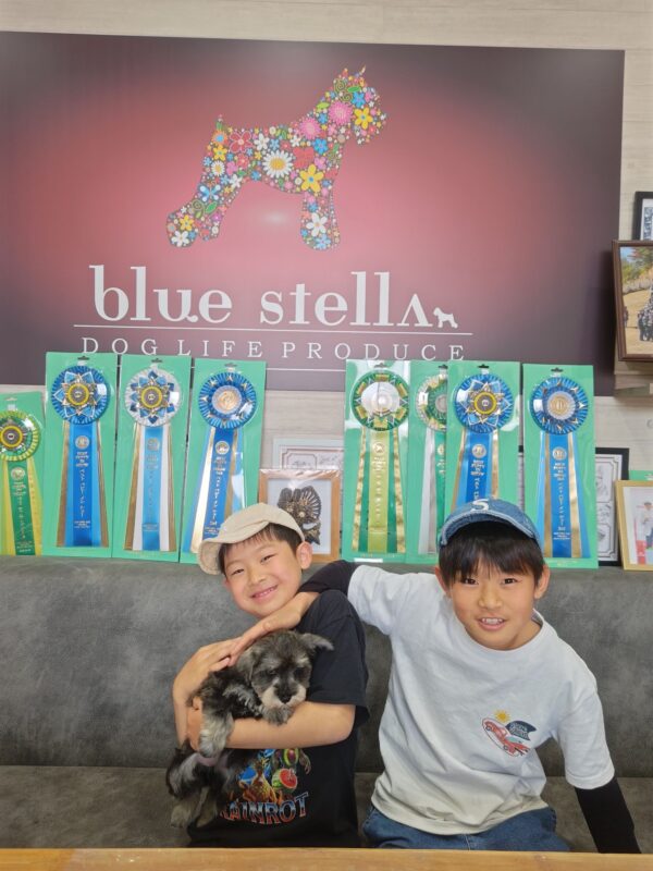 巣立って行ったステラっ子サムネイル