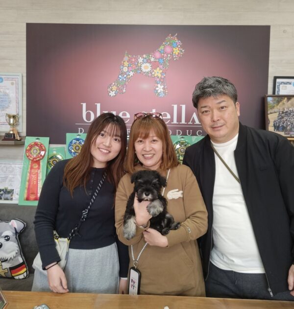 巣立って行ったステラっ子サムネイル