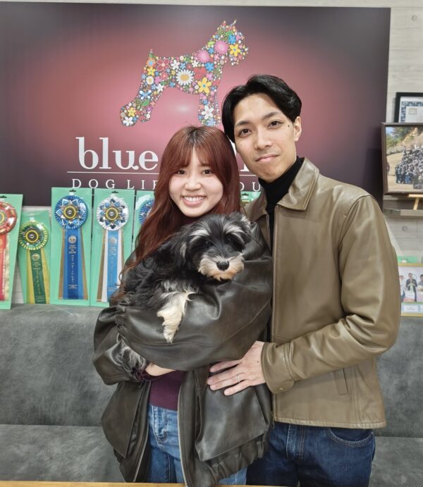 巣立って行ったステラっ子サムネイル