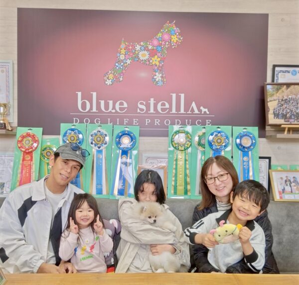 巣立って行ったステラっ子サムネイル