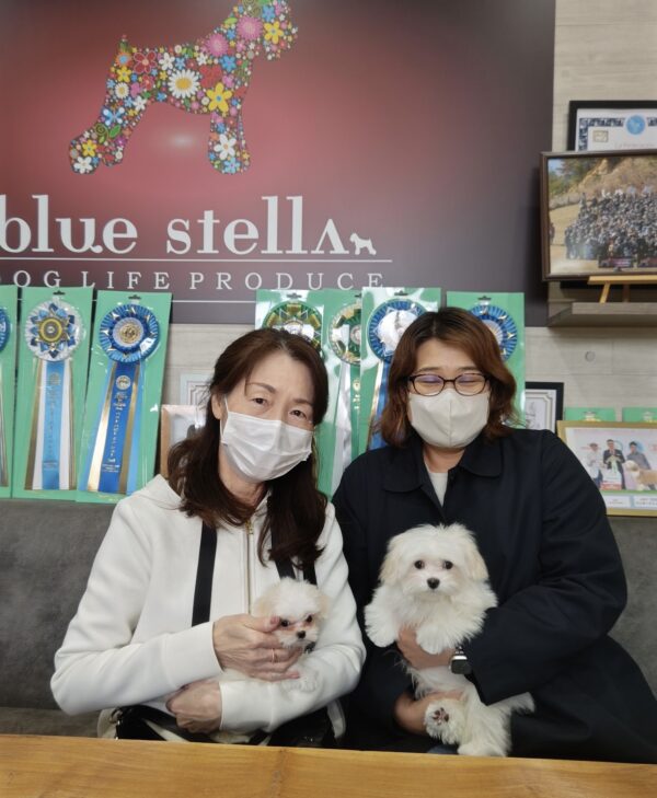 巣立って行ったステラっ子サムネイル