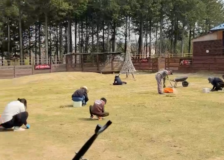 芝生の手入れサムネイル