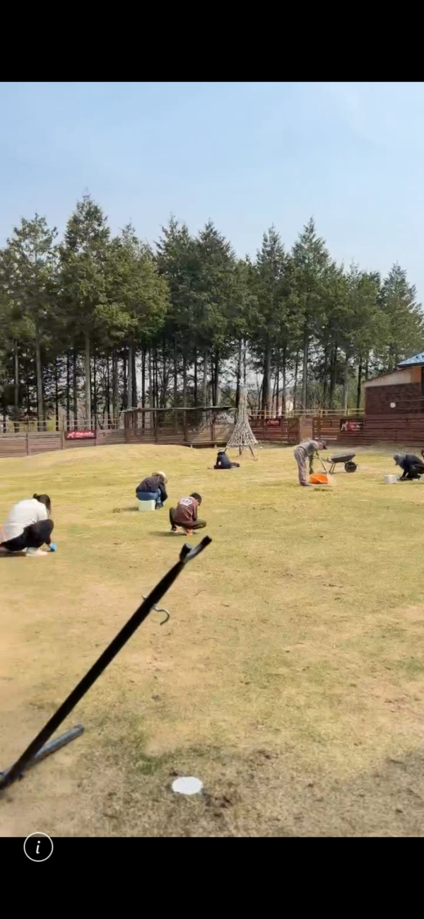 芝生の手入れサムネイル