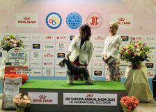 東京本部展で大活躍！サムネイル