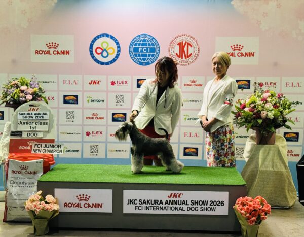 東京本部展で大活躍！サムネイル