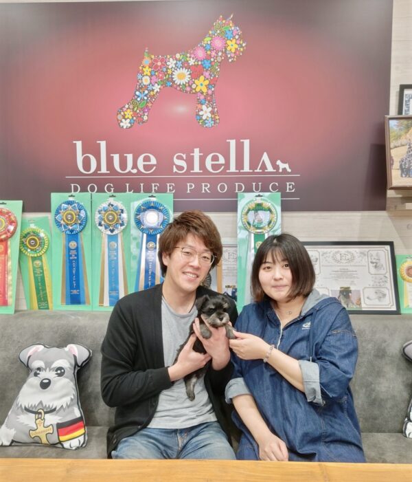 巣立って行ったステラっ子サムネイル