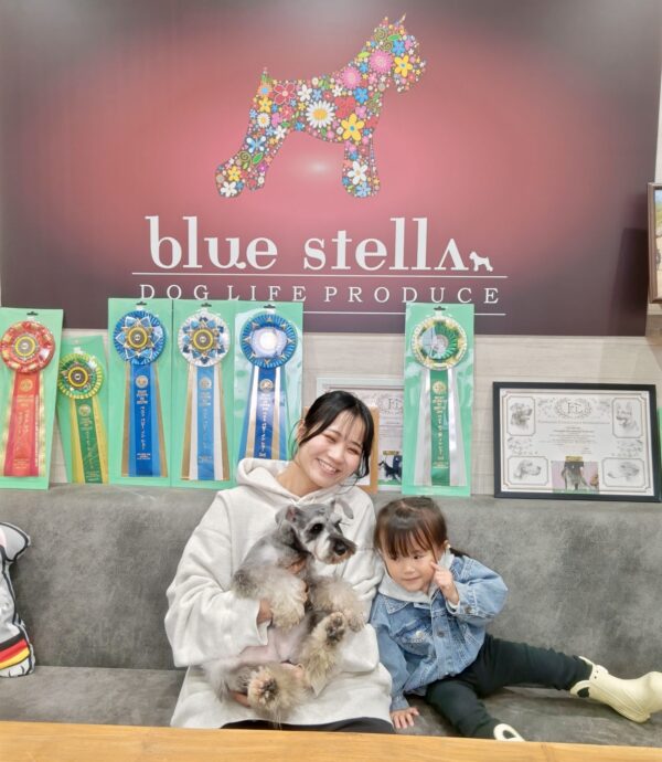 巣立って行ったステラっ子サムネイル