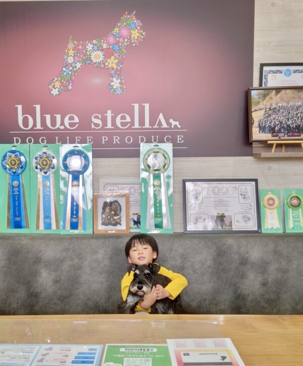 巣立って行ったステラっ子サムネイル