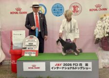 ヒナちゃんがNewチャンピオンにサムネイル