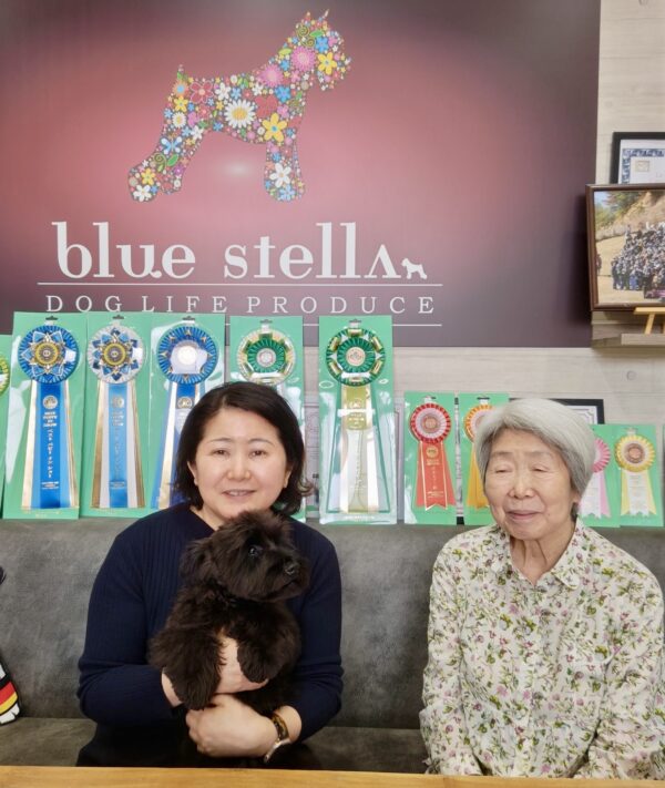 巣立って行ったステラっ子サムネイル