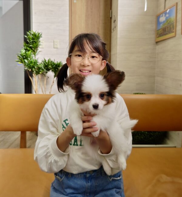 巣立って行ったステラっ子サムネイル