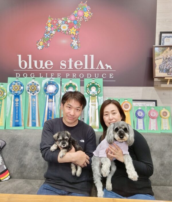 巣立って行ったステラっ子サムネイル