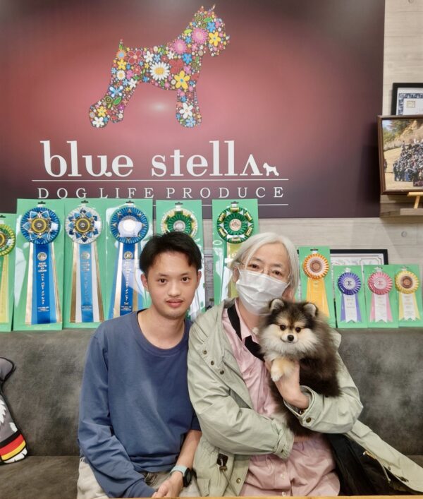 巣立って行ったステラっ子サムネイル