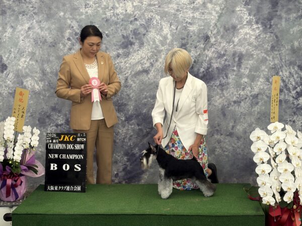 ミハネちゃんがNEWチャンピオンにサムネイル