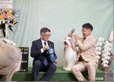 DOGショーサムネイル