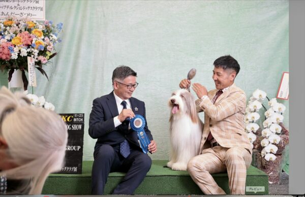 DOGショーサムネイル