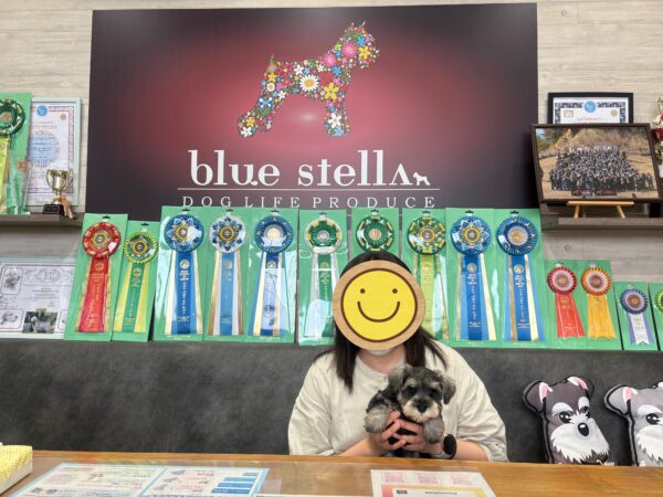 巣立って行ったステラっ子サムネイル