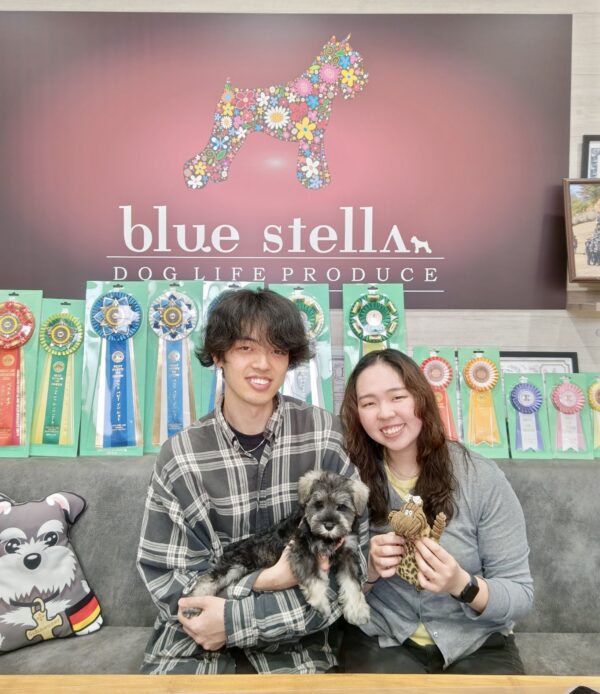 巣立って行ったステラっ子サムネイル